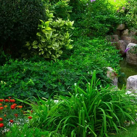 Hotel de apartamente Garden Of Eden Panorama Sveti Vlas